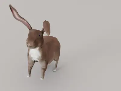  Rabbit 3D Model  Low-poly 3D model