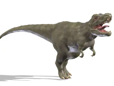 Tyrannosaurus 01 Low Poly PBR Realistic Low-poly 3D model