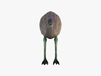 Emu Animal Free 3D model