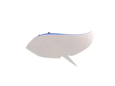 Manta Ray 3D model