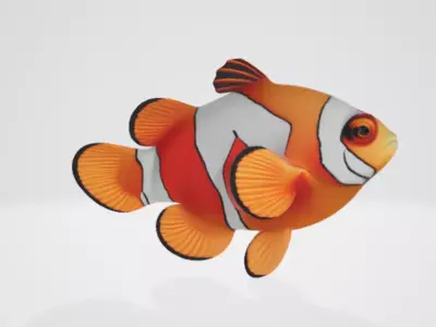 Clownfish 3D model
