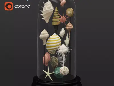 Seashell Decorative 3D model