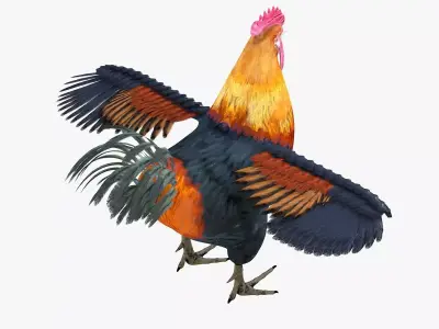 Rooster bird rigged 3d model Low-poly 3D model