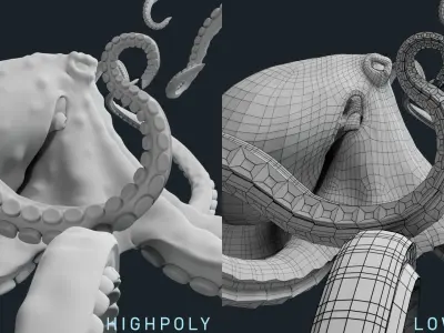 Octopus Base Mesh Low-poly 3D model