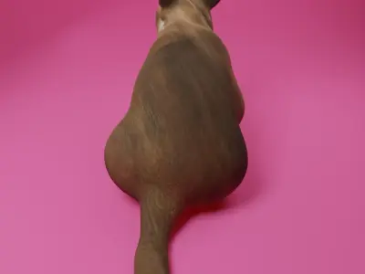 BIG FLOPPA 3D Model Free low-poly 3D model