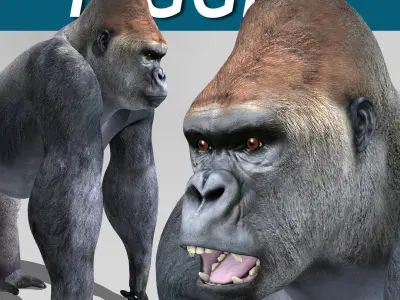 Gorilla 3D model 8
