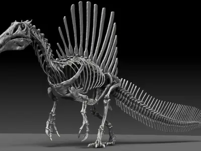 Dinosaur Spinosaurus 2020 version Full Set Skeletons Sculpt  3D model