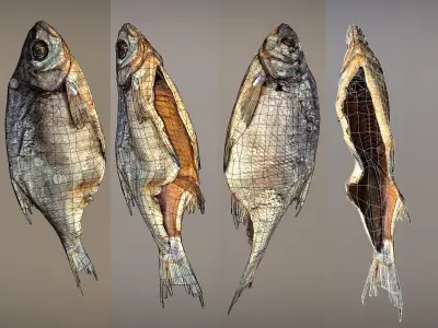 Photorealistic 3Dscan of dried open fish Low-poly 3D model