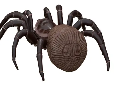 Hourglass Spider 3D model