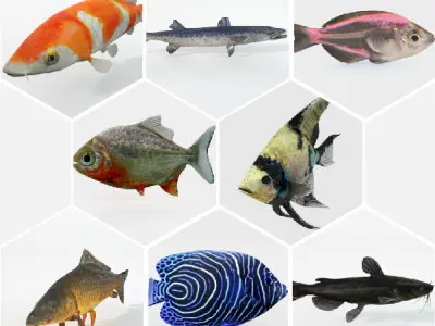 15 Freshwater  Fish Pack Low-poly 3D model