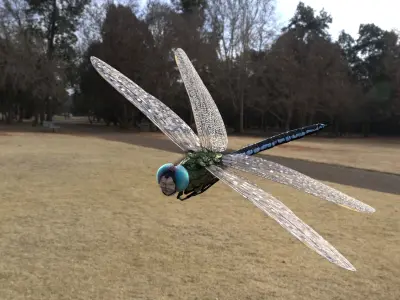 Anax imperator - Static 3D model