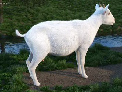 Rigged Farm Animals Big Collection 3 for Maya 3D model