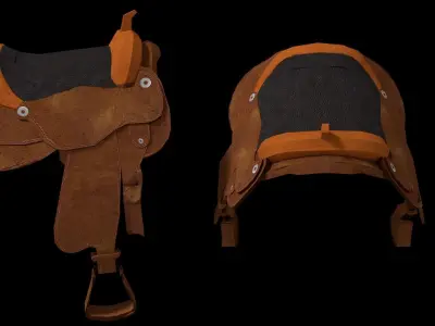 5 in 1 Realistic Bear Pack Low-poly 3D model