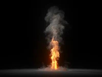 Burning Tree Animation 250 Frames 3D Model 3D model