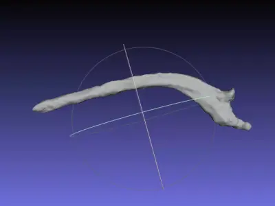 Psittacosaurus Right Rib 6 Mirrored Free 3D print model