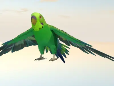 Parakeet Bird Low-poly 3D model