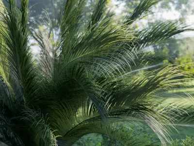 Shrub Collection - Include GrowFX and Mesh file1 3D model