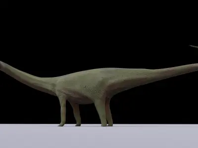 Diplodocus dinosaur 3D model