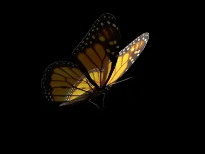 Butterfly fully rigged and animated Low-poly 3D model