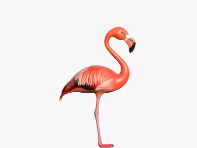 Flamingo Low-poly 3D model
