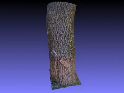 PART OF TREE Free 3D model