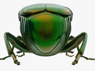 4K Beetle Low-poly 3D model