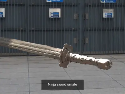 Ninja Sword collection 