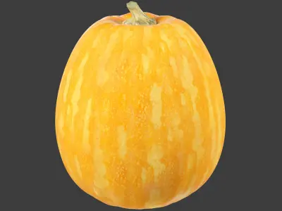 Pumpkin V4 3D model