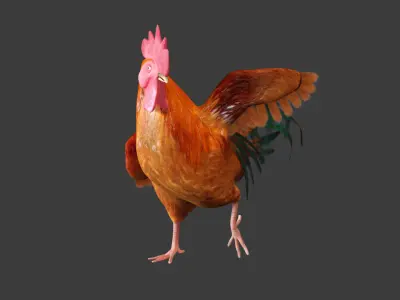 Chicken Rigged 3D model 3D model