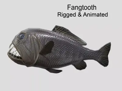 fangtooth Realistic Animated Low-poly 3D model