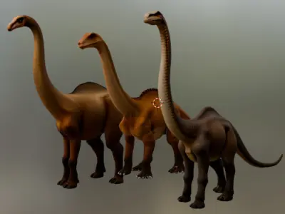 Brachiosaurus 3D Model Pack  Realistic Sauropod Dinosaurs  3D model