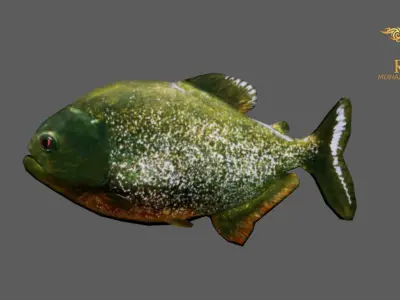 Animated Piranha Fish - Loop Animation with 1160 Frames Low-poly 3D model