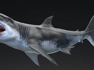 Dinosaur MEGALODON - Sea Monster Series 5 Low-poly 3D model