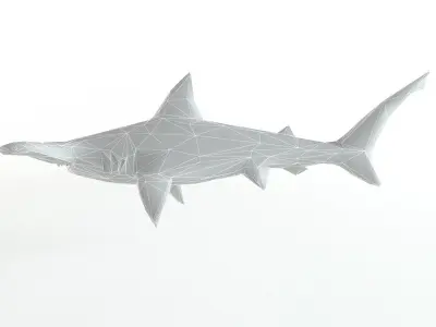 Hammerhead Shark Low Poly Predator Jaws Lowpoly Low-poly 3D model