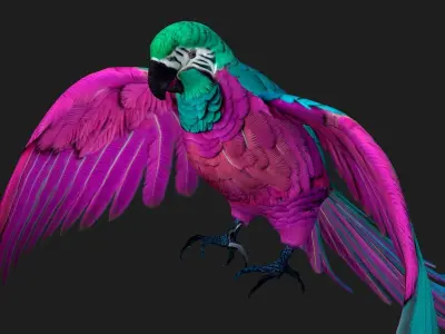 Parrot A3 3D model