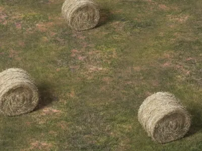 Farm Field with Round Hay Bale Rolls Golden Brown Fur 3D model