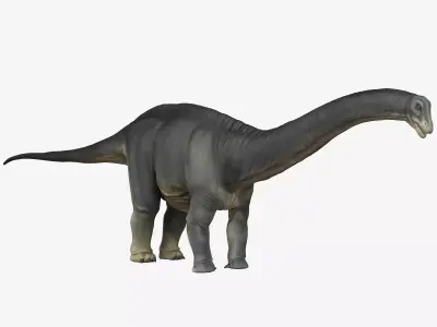 Apatosaurus dinosaur Low-poly 3D model