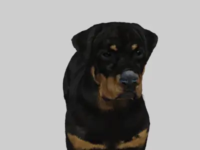 rottweiler Free 3D model