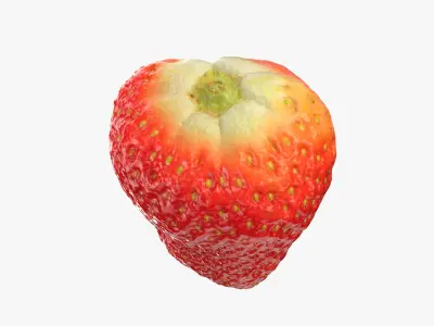 Strawberry Without Stem 02 3D model