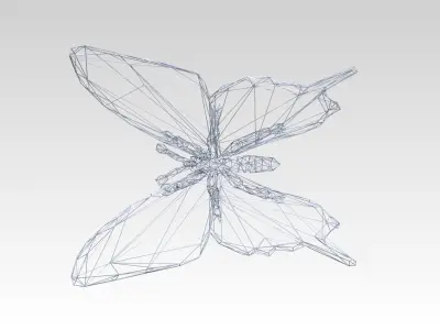 Butterfly Wireframe 3D model
