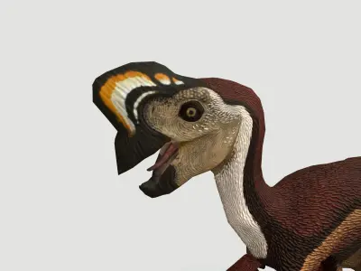 Oviraptor Low-poly 3D model