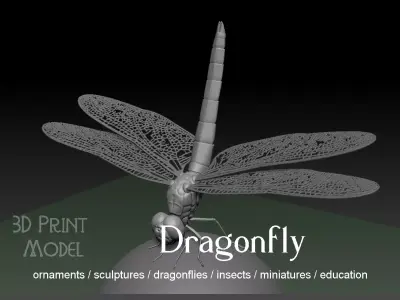 Dragonfly 3D print model