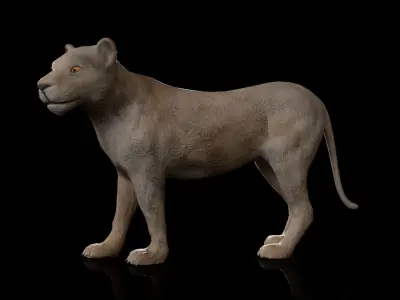 animal lion Low-poly 3D model