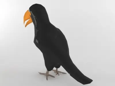 Tucano Bird Low Poly Tropical Toucan Animal Lowpoly  Low-poly 3D model