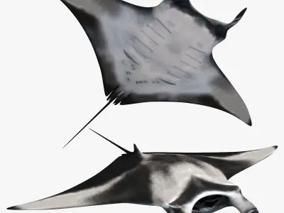 8K Marine Pack - fully animated 3D model