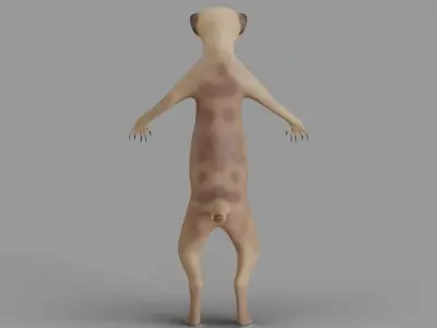 Suricata meerkat 3D model