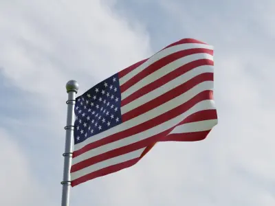 Animated American US Flags 3D model