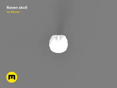 Raven Skull Free 3D print model