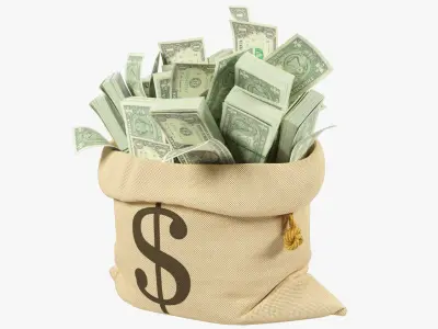 Money Bag V20 3D model
