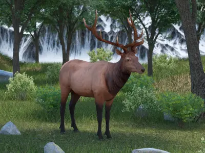 Realistic Elk Rigged for Cinema 4D 3D model